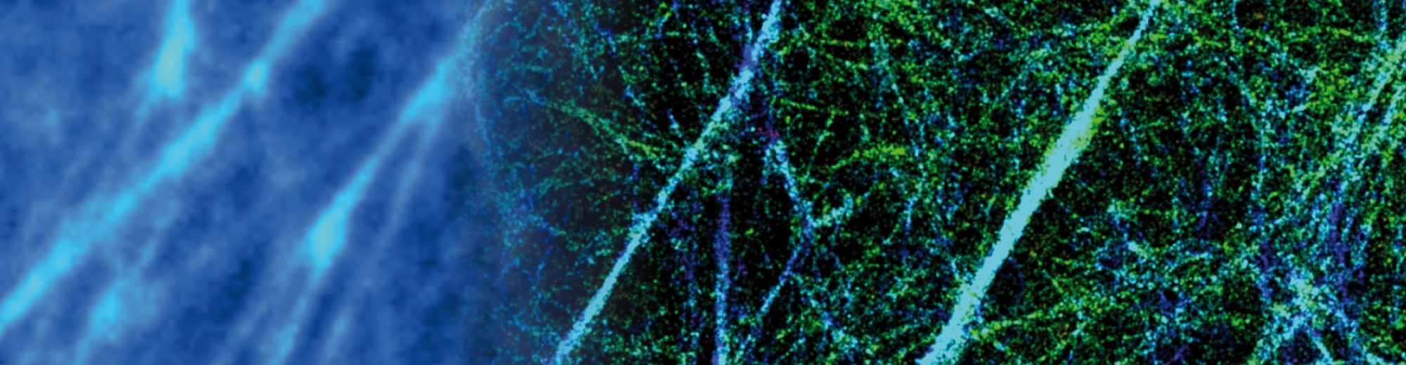 From Microscopy to Nanoscopy
