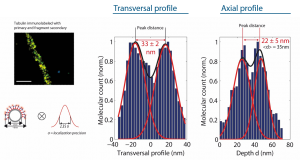 microtubule_hollowness_donald